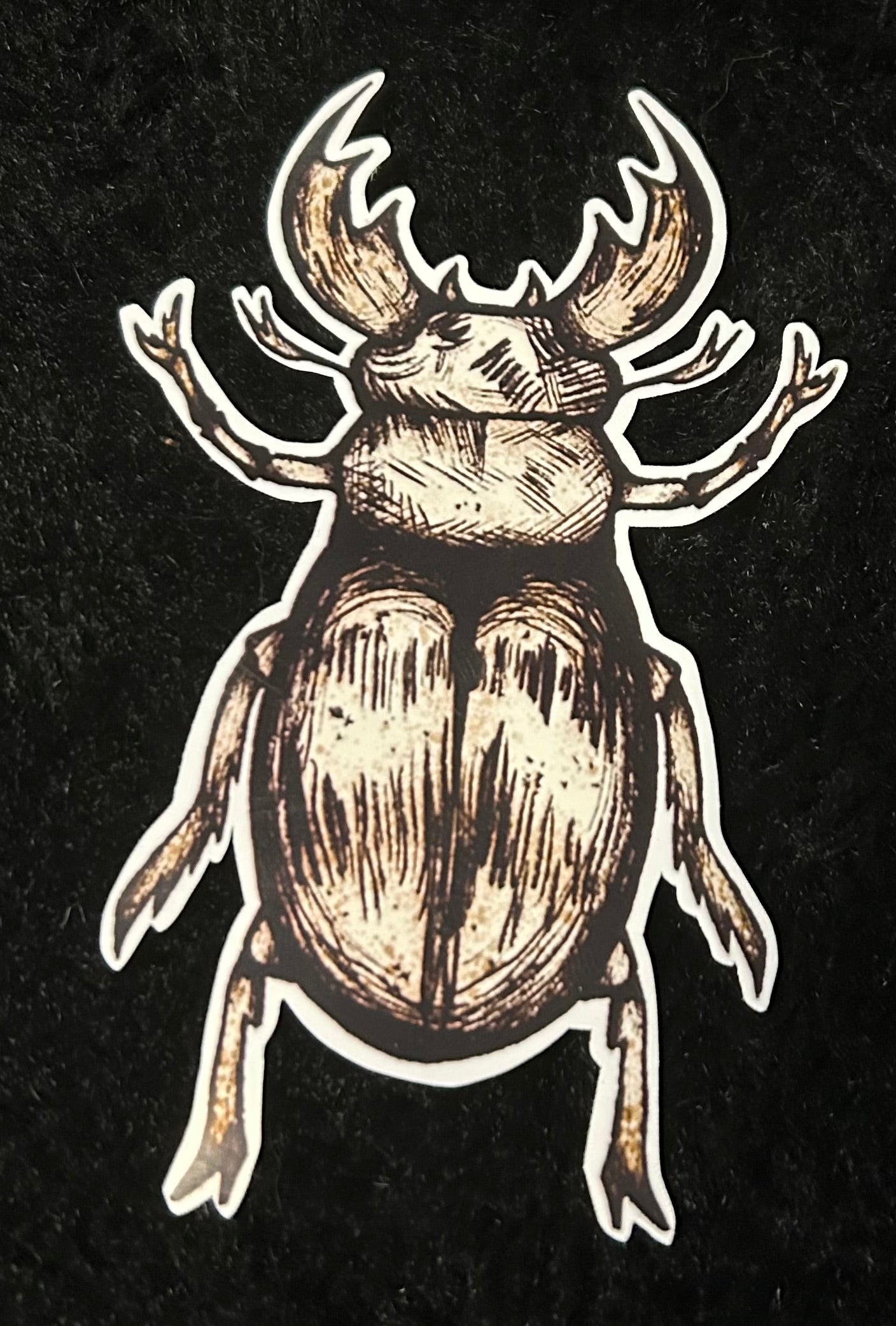 Bugs and Bones Stickers