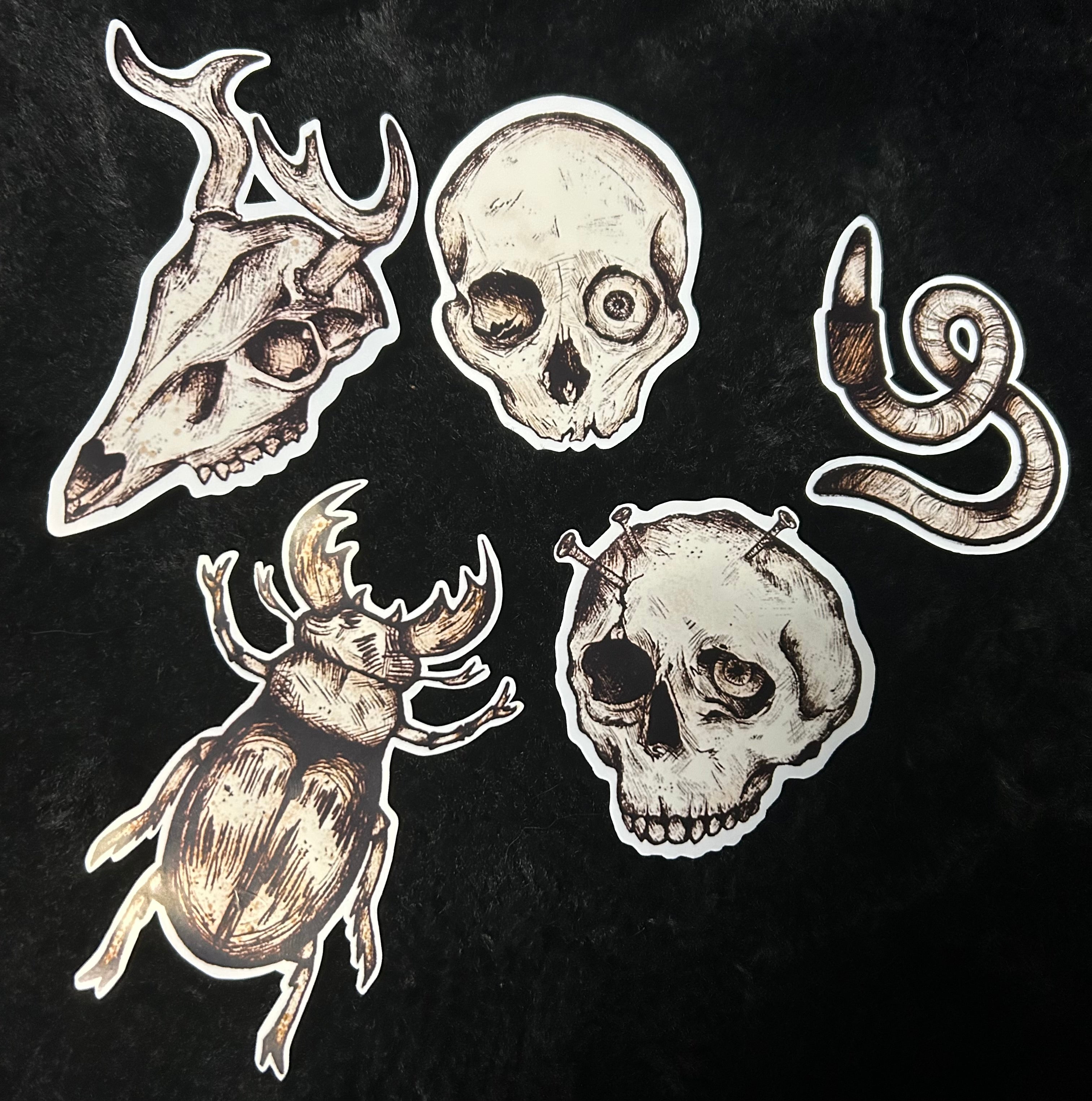 Bugs and Bones Stickers
