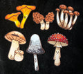 Shroom-Pals Stickers