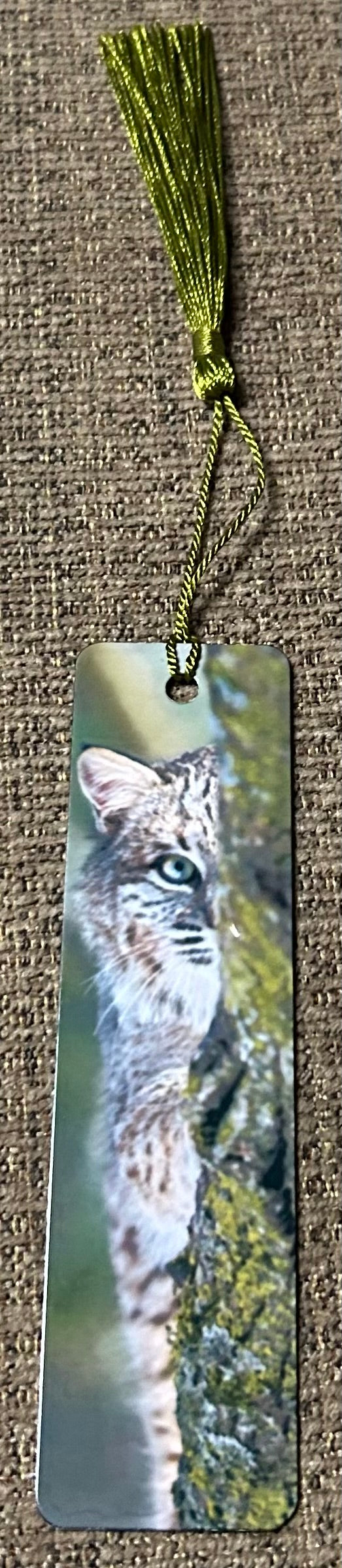 Bookmarks