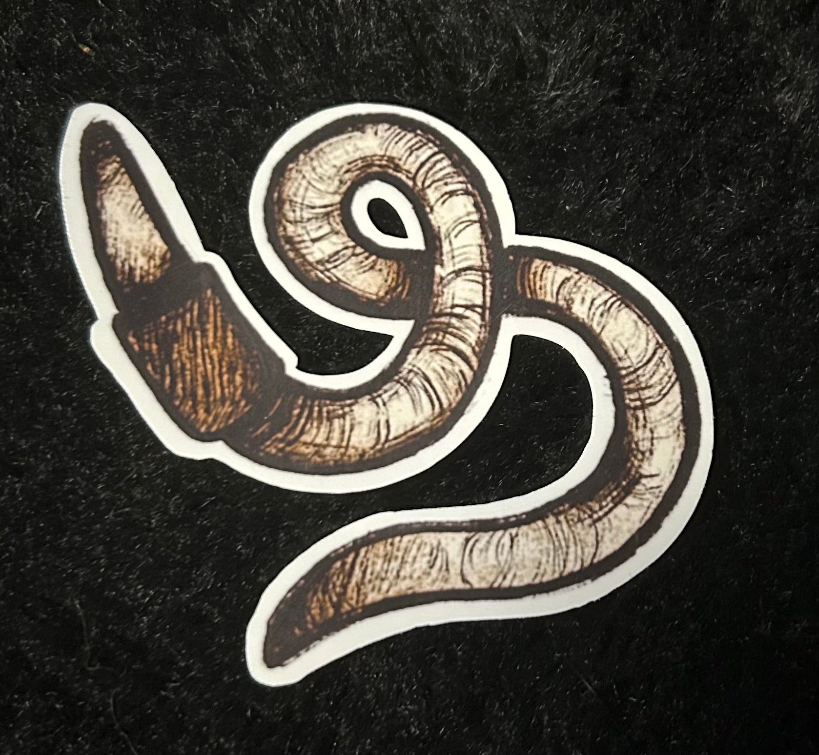 Bugs and Bones Stickers