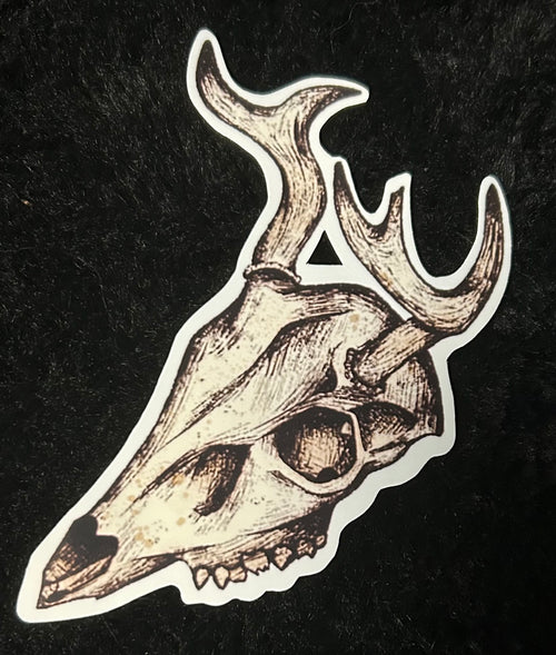 Bugs and Bones Stickers
