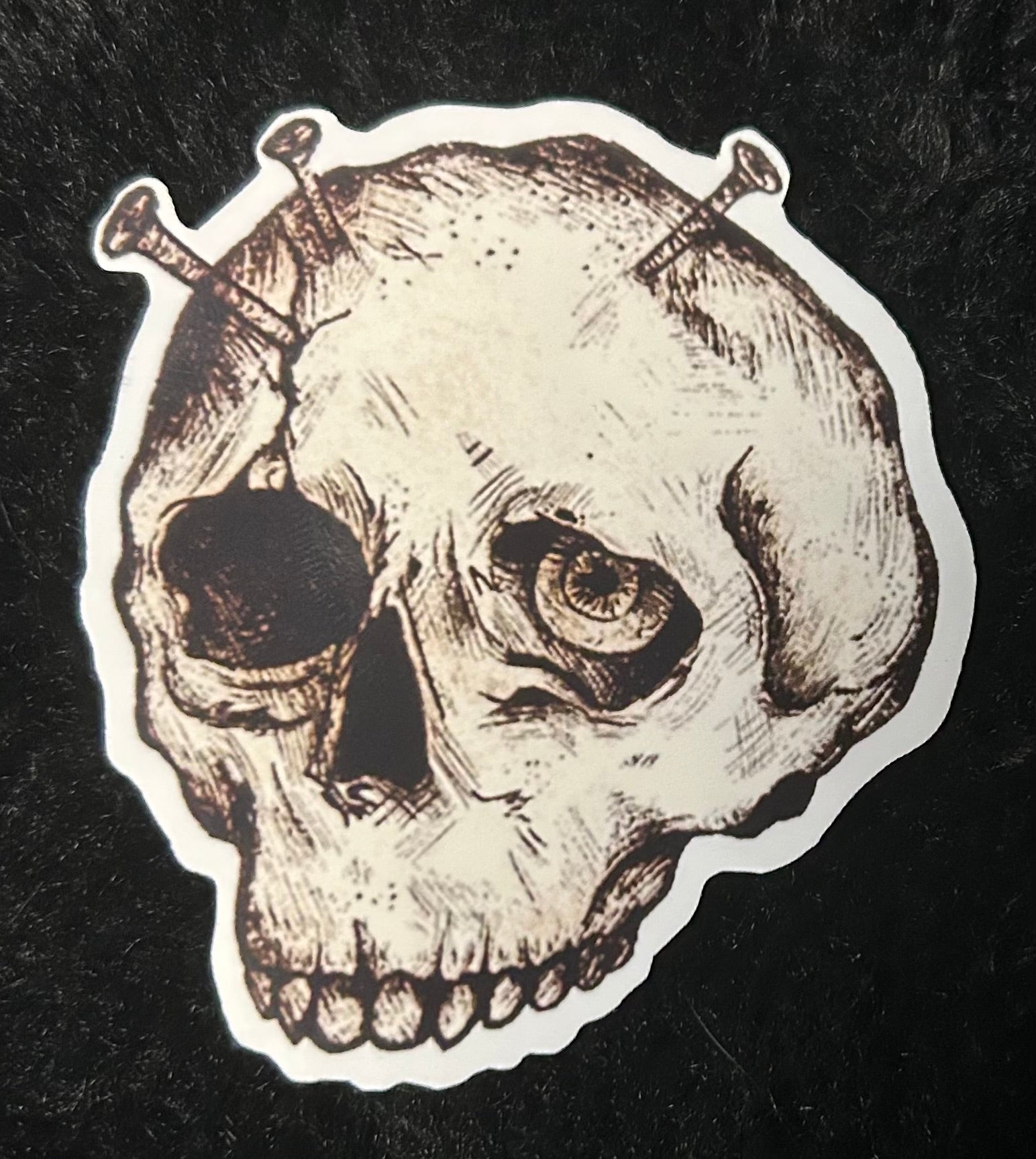 Bugs and Bones Stickers